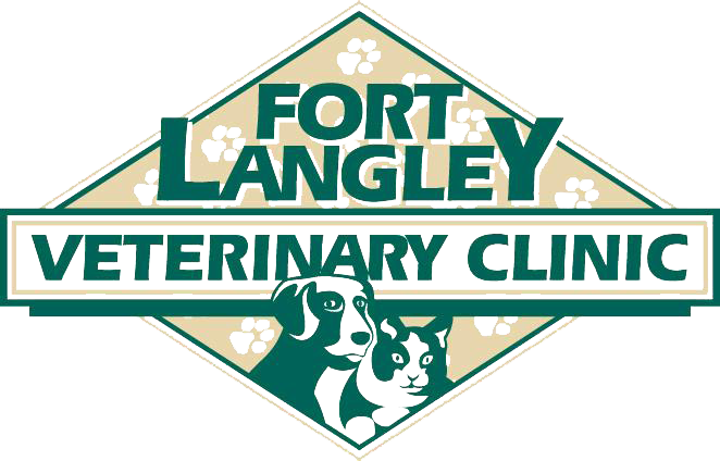 Fort Langley Vet - Langley, BC